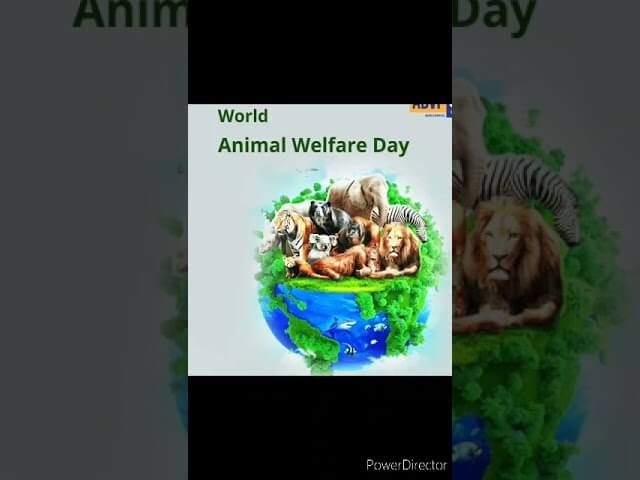 WORLD ANIMAL WELFARE DAY - October 4, 2021